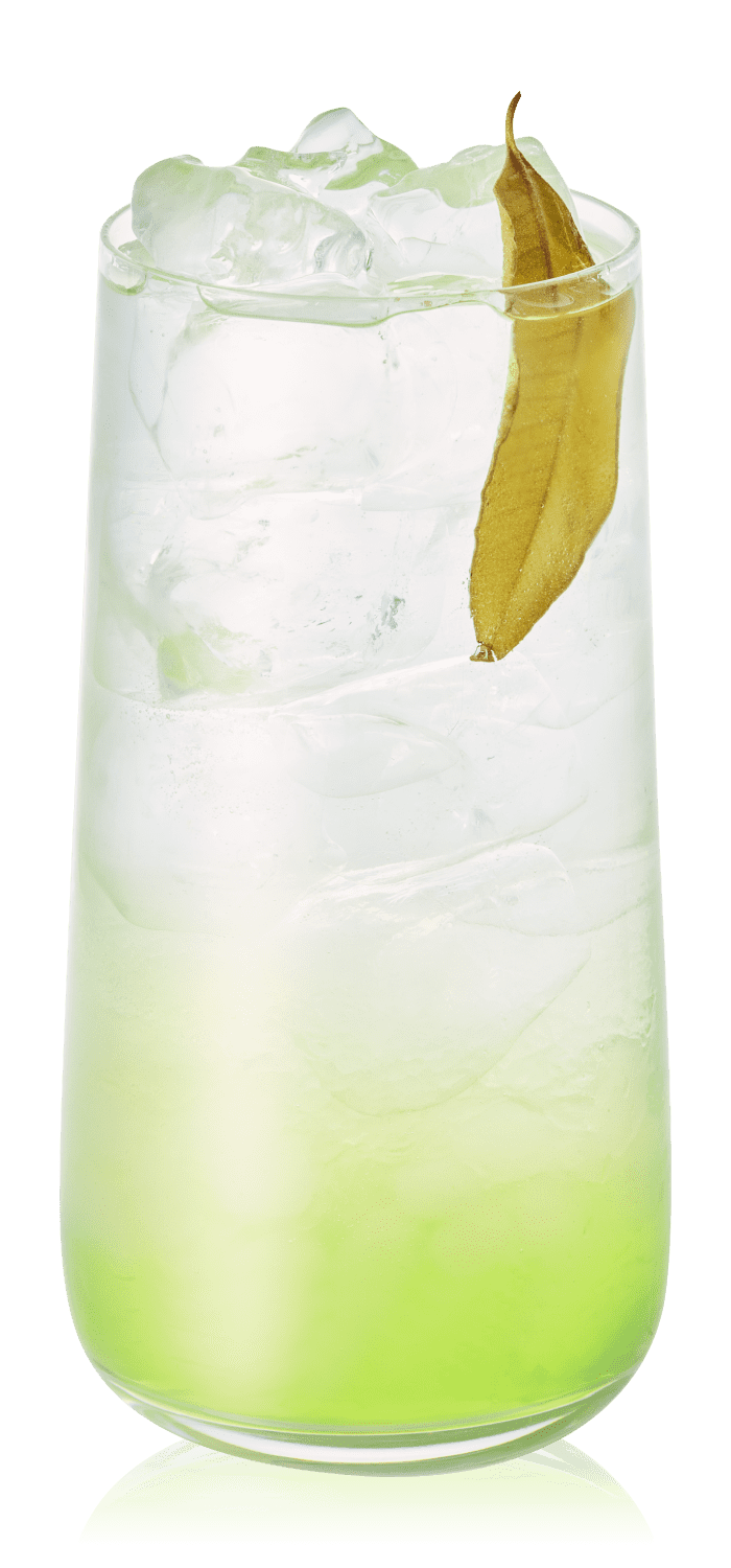 ALOE ADE