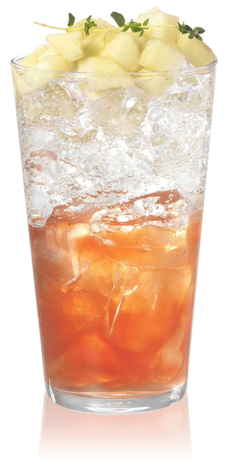 MOJITO MINT SYRUP 50% OFF -> $ 5.50