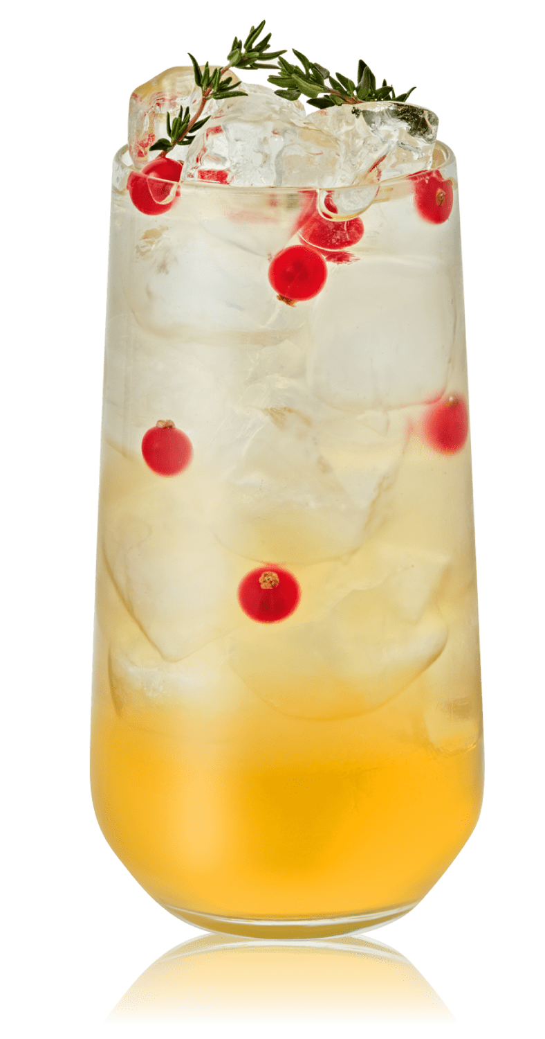 LITCHI BASE