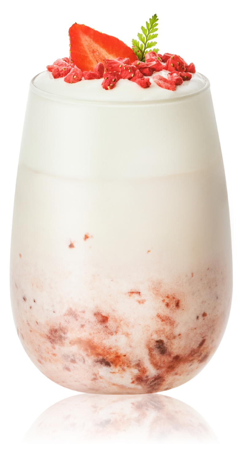 CREAM CHEESE FOAM POWDER
